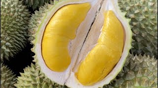 Amazing Durian Mushangking durian fruit cuttingskills fruitcutting durianfruit