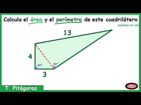 Área y Perímetro de un Cuadrilátero irregular (Pitágoras) - YouTube