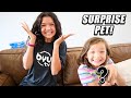 We Surprised the kids with NEW PETS!!