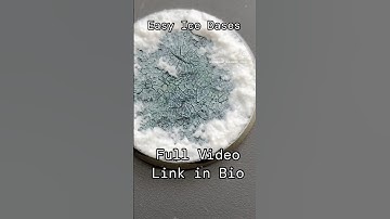 FR-EASY Snow & Ice bases - full video over on my channel #ageofsigmar #warhammer40k #wip #miniature