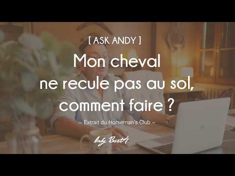 [ASK ANDY] Mon cheval ne recule pas au sol, comment faire ?