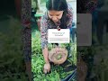 Plant for life #motivation #minivlog #naturecure #plantation #naturelovers #nature #funnyquotes