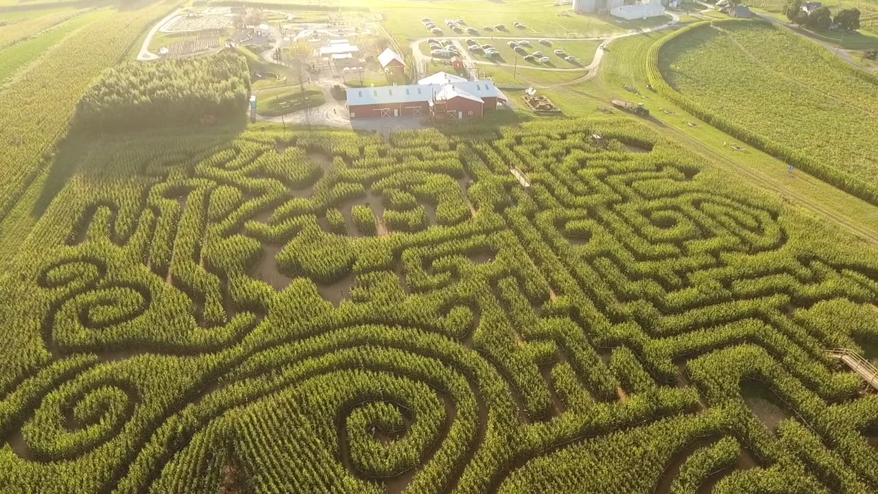 Maize Quest Pumpkins and Maze by Drone 2017 YouTube