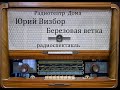 Березовая ветка.  Юрий Визбор.  Радиоспектакль 1987год.