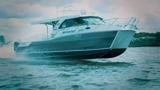 SAILFISH 3200 PLATINUM SPORTS