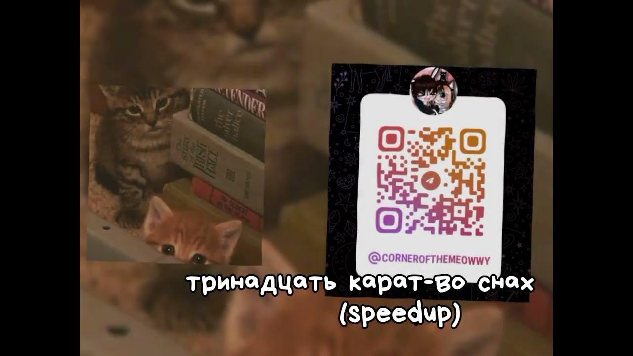 Виниловая пластинка земфира - прости меня моя любовь. Земфира прости меня моя любовь альбом. Прости меня моя любовь обложка. Прости меня моя любовь. Прости меня моя любовь обложка.