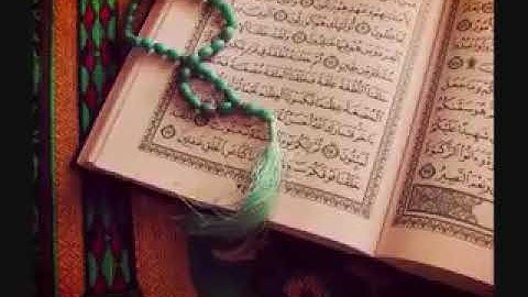 القارئ وديع اليمني سورة الانسان