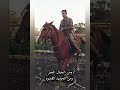 احنا الصعايده اللي اخدنا من الجمال الصبر ومن الجبال الجبر مشيتنا تهز الارض وصوتنا برق ورعد رائد عادل