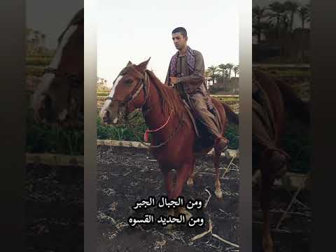 احنا الصعايده اللي اخدنا من الجمال الصبر ومن الجبال الجبر مشيتنا تهز الارض وصوتنا برق ورعد رائد عادل