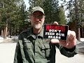 Steve Searles - Bear Whisperer - How to coexist in an urban enviroment with wildlife