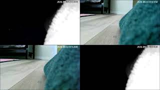 20260810 - OR - Home Camera log