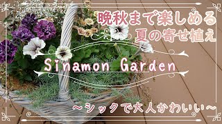 夏の寄せ植え 夏の暑さに強く 晩秋まで楽しめる シックな寄せ植え ガーデニング Youtube