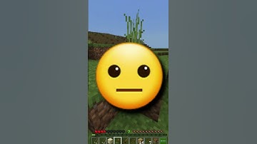 Minecraft But I copy paste any Block #minecraft #shorts #minecraftpe