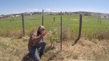 ABC acres: Monitoring Sectors: Fenceline Tree Health - episode #035
