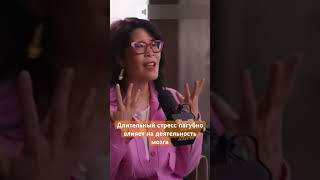 Влияние кортизола на мозг #счастье #happy #здоровье