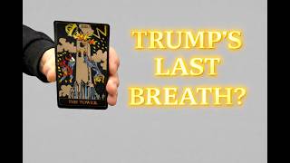 Dying Trump Screws The World Iran Texas Senate Poilitical Tarot Trump Tarot Trump Dead