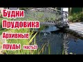 Будни Прудовика Архивные пруды (часть2)