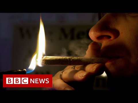 Malta becomes first EU nation to legalise cannabis - BBC Records thumbnail