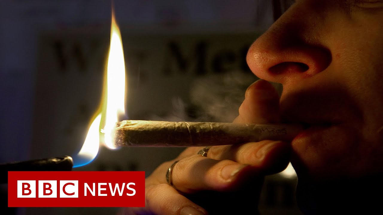 Download Malta becomes first EU nation to legalise cannabis - BBC News