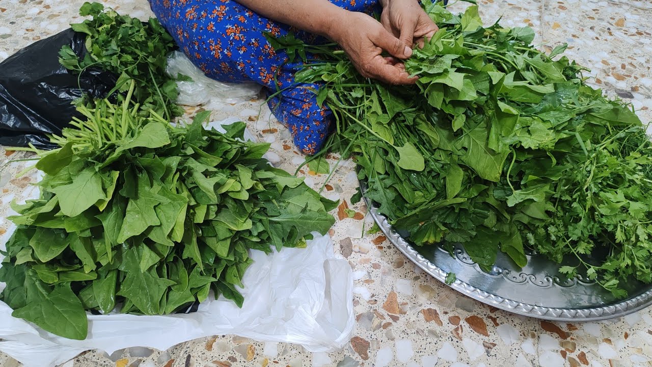 روتين جديد مع فطومة 😊مشاهدة ممتعة 🌷