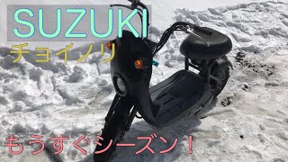 【チョイノリ】春！半年間眠っていたSUZUKIチョイノリを起こしてみた！