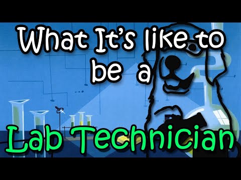 Entry Level Lab Technician Near Me