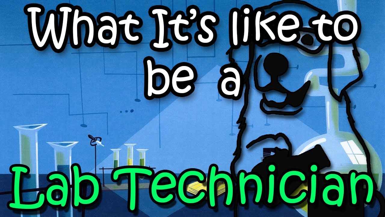 Lab Technician (My experience as a Microbiology Lab Technician Quality Assurance)