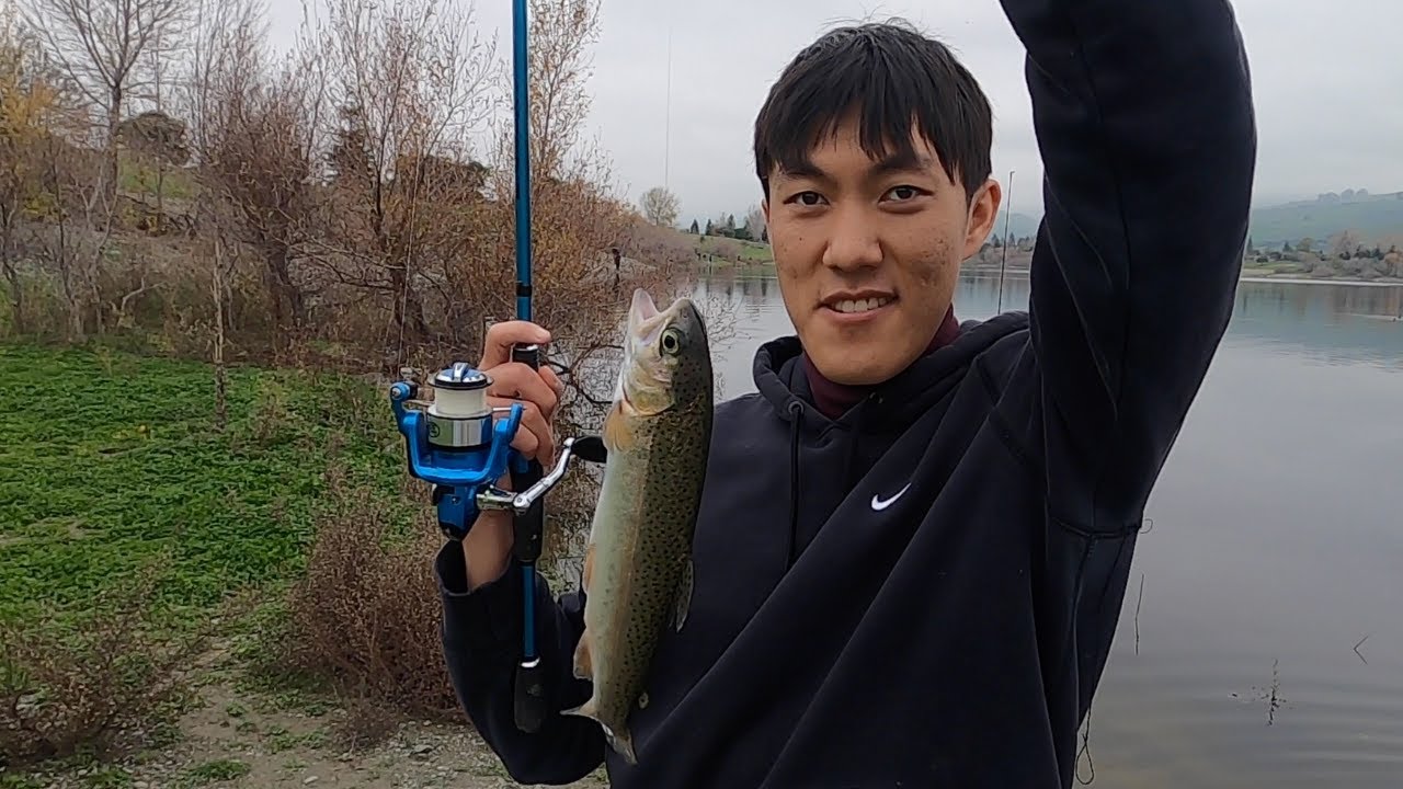 SLAYING Trout at Quarry Lakes!!! Nonstop Action! YouTube