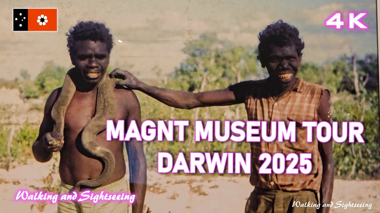 Darwin Museum Tour 2025 Action War & Film Exhibition Art Gallery of the Northern Territory Australia