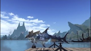 HOW I GOT MY SHARK MOUNT