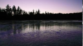 Reflection of trees in still lake