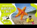 Irama Pantai Selatan ft. Dandi Ukulele - Bintang Laut (Official Music Video 360° VR)