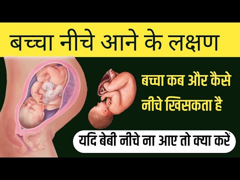 वीडियो: बर्च लेन कौन है?