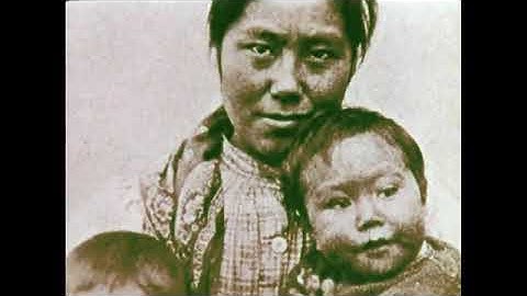 Chain of Life: The Aleutian Islands (1982)  Ecology, Biotic communities