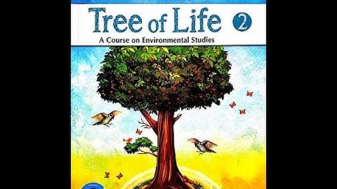 Class 2 EVS Chapter 11 part 1