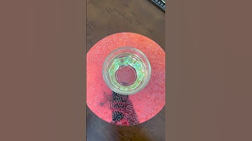 Make Your Own Compass! #science #magnetism#