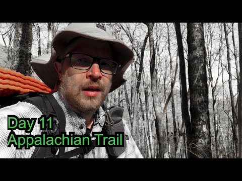 Stop Bears From Taking Your Food the 4 Methods - Appalachian Trail Day 11