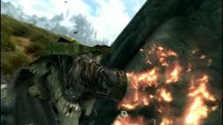 Bandit in Skyrim makes a claim