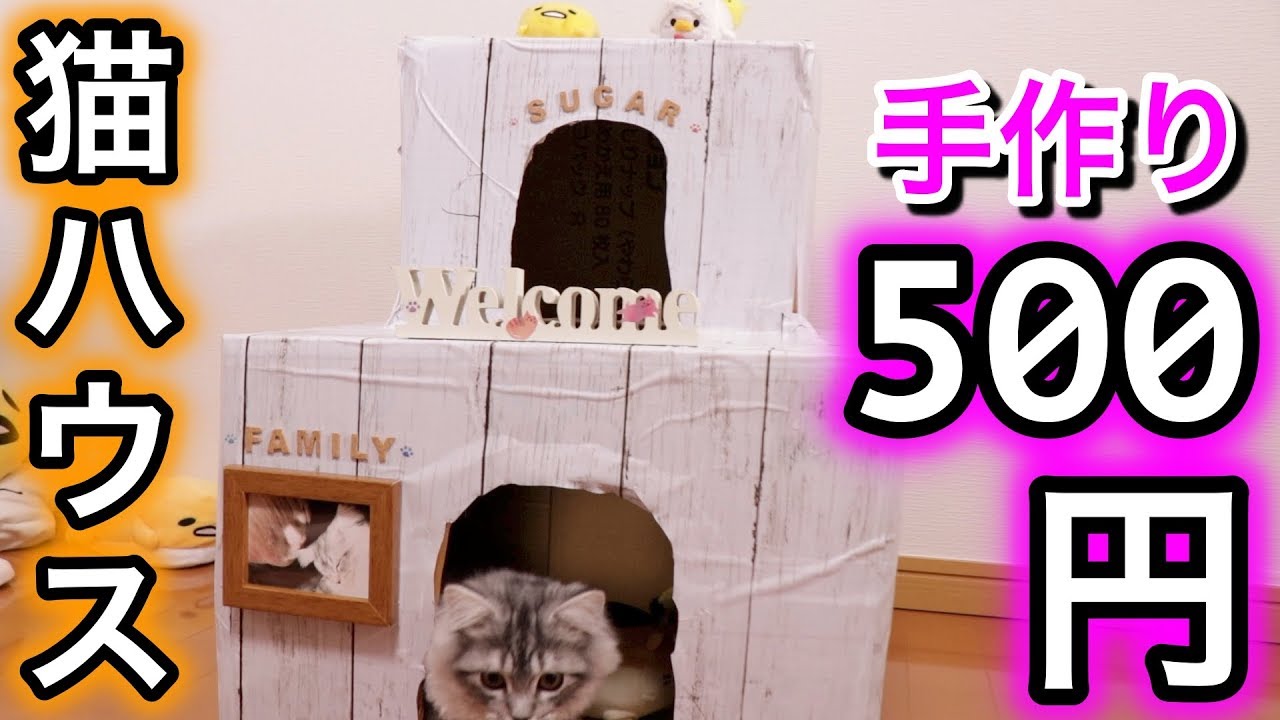 100均グッズのみで猫のダンボールハウス作ってみた Youtube