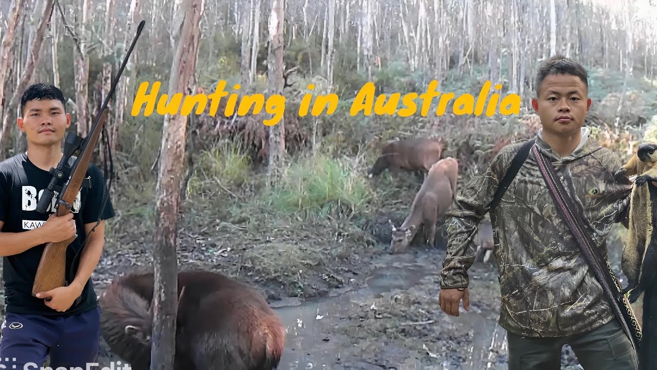 First time hunting Australia deer 🦌 - YouTube