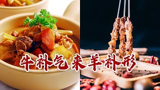 《百家讲坛》 20231004 厨房里的养生奥秘 5 牛补气来羊补形|CCTV百家讲坛官方频道