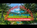 Ultimate relaxation with soothing piano music 4 nhc piano nh nhng gim stress