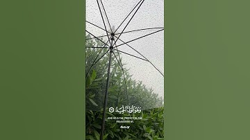 اكتب شيء تؤجر عليه”🌿 #ذكر_الله_حياة_للقلوب  #قران_كريم #قرآن #تلاوات_خاشعة #تلاوات