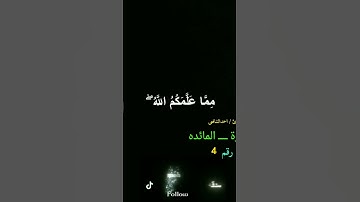 #سورة المائده الايه 4 #القرآن_الكريم  #quran #القارئ_أحمد_الشافعي