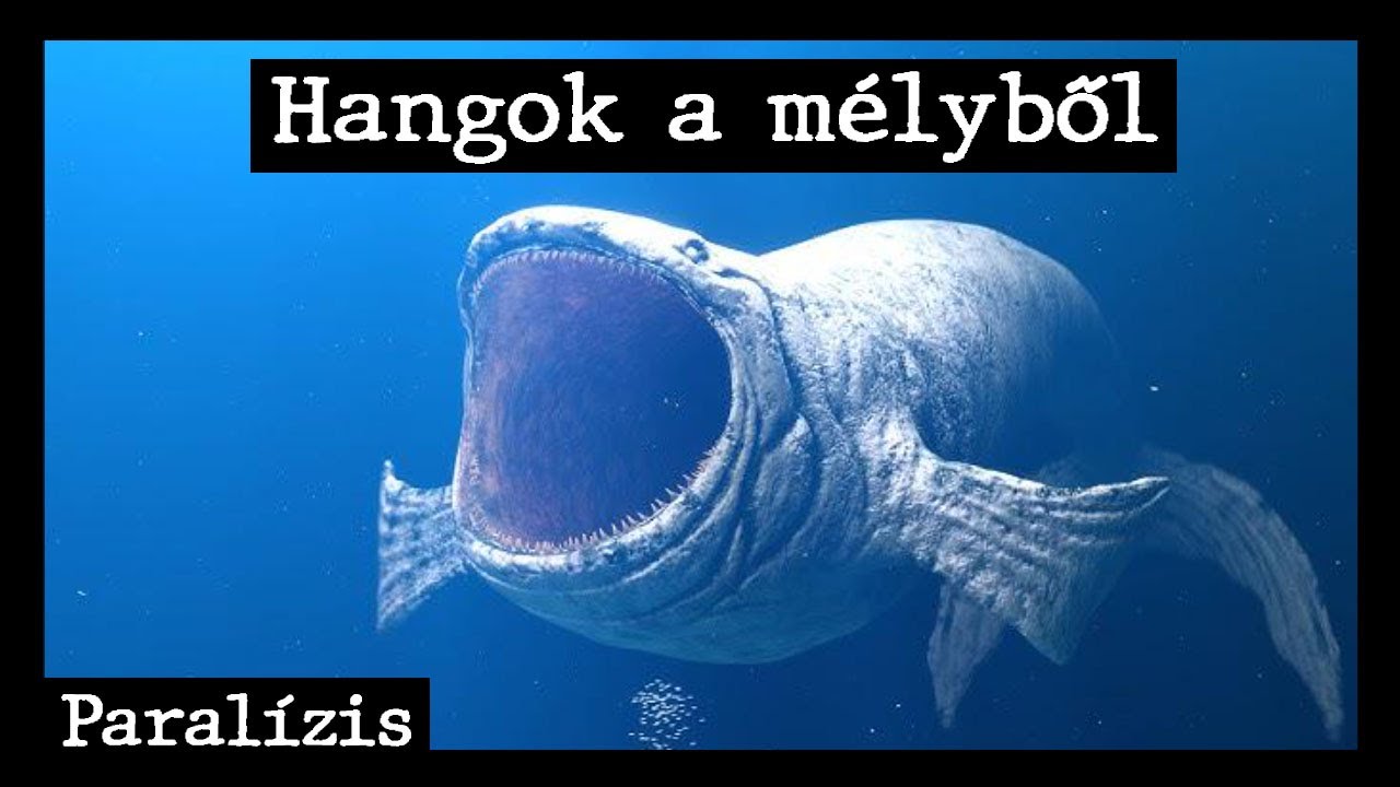 Rejtélyek nyomában - Hangok a mélyből