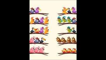 bird 🐔🕊️ sort color #level 26#games #short video
