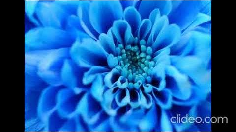 سورة الفاتحة هانى عبد الله #قران# قران كريم # دعاء الصباح #دعاء القران الكريم كاملا بصوت هانى