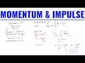 Momentum and Impulse Quiz