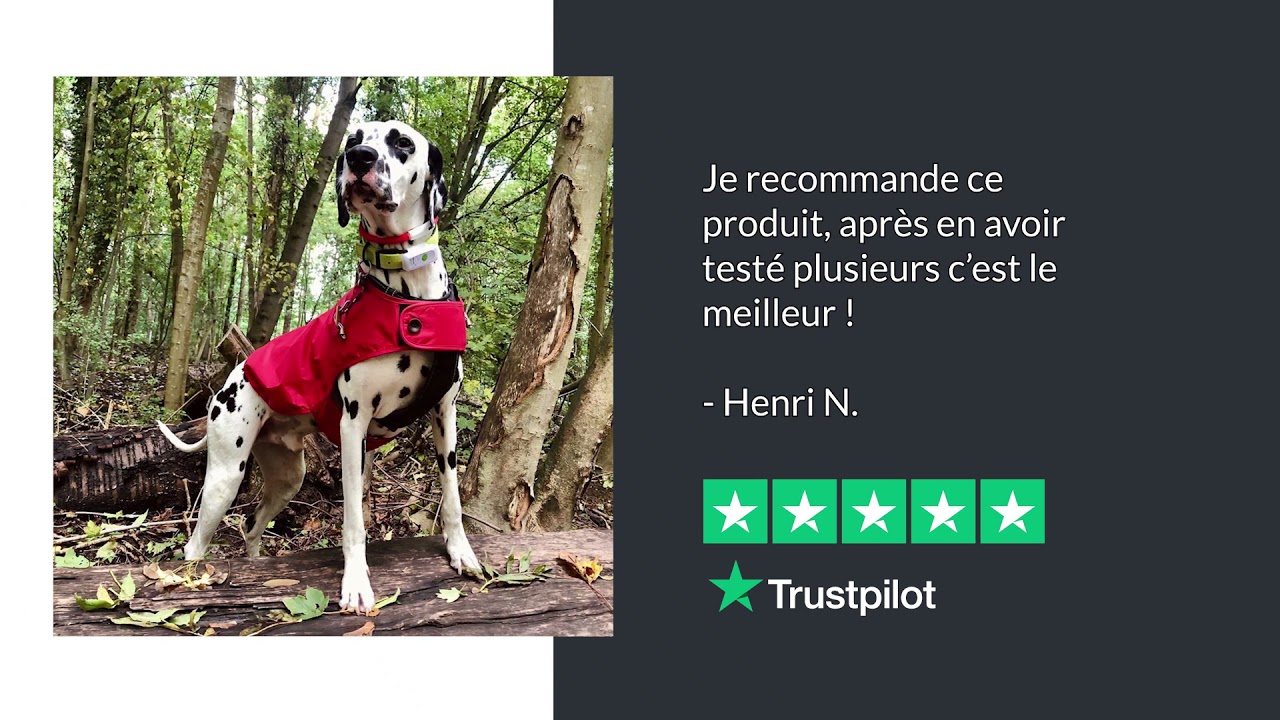 Weenect Dogs 2 Traceur GPS pour chien JungleVet