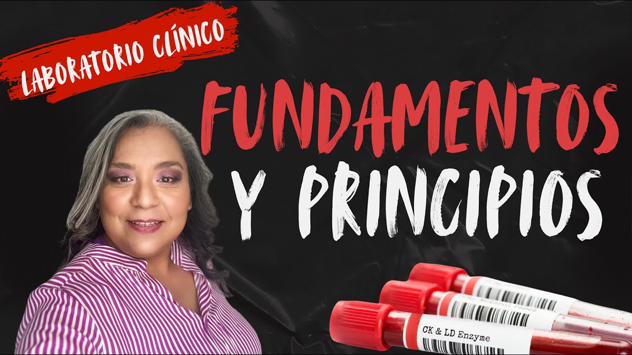 04 Fundamentos - YouTube